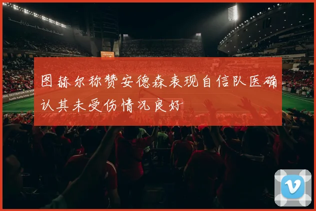 图赫尔称赞安德森表现自信队医确认其未受伤情况良好